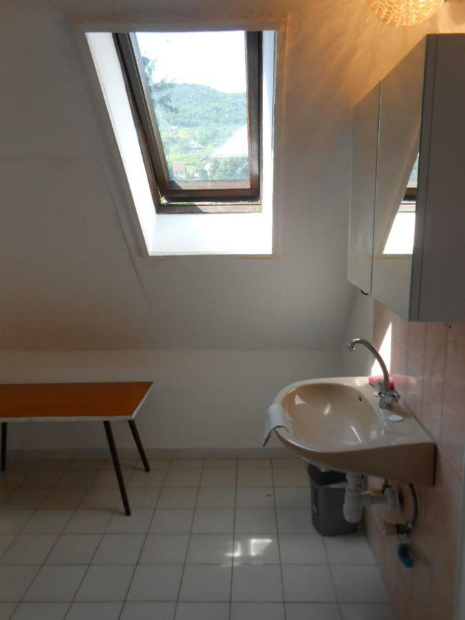 Nagy Vendeghaz Hotel บาดัคชอยโตมาย ภายนอก รูปภาพ